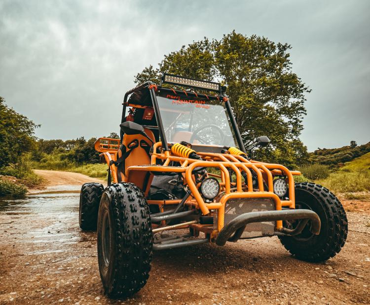 buggy